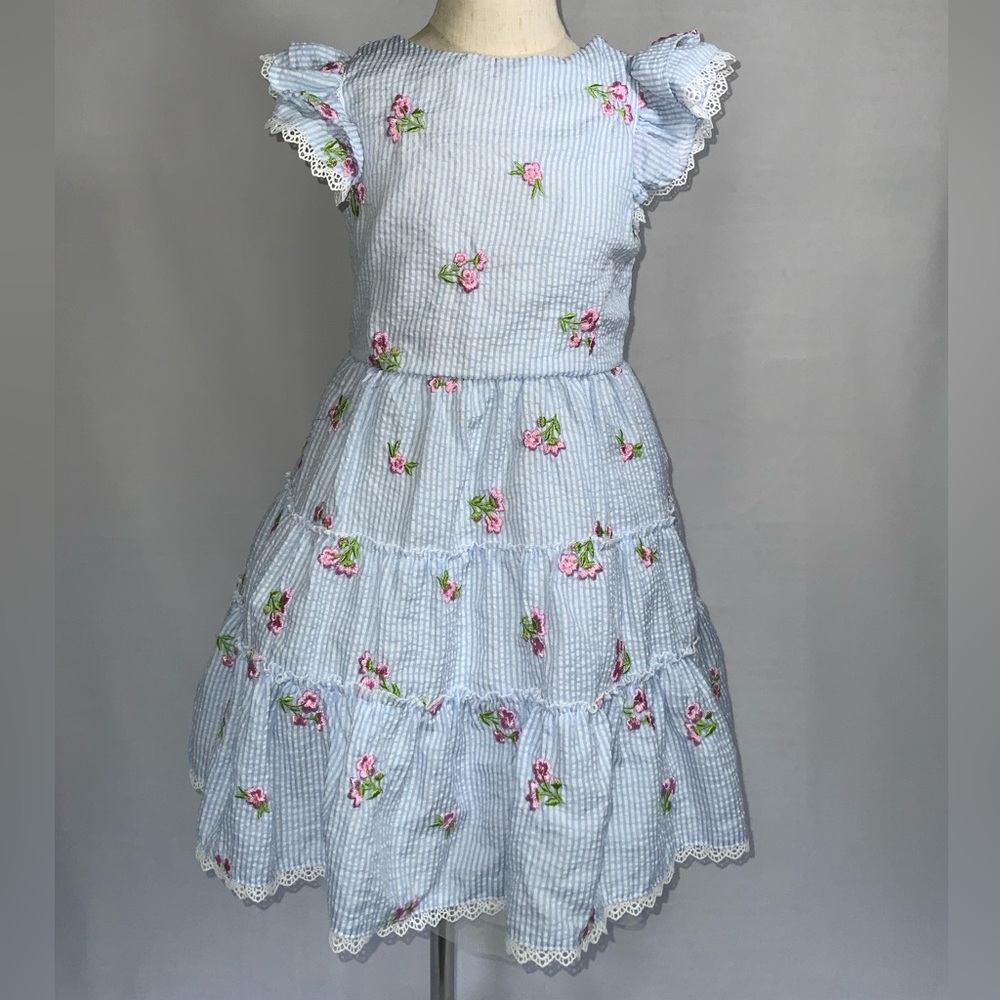 Rare Editions SZ 6 Blue and White lined dress with embroidered flowers.